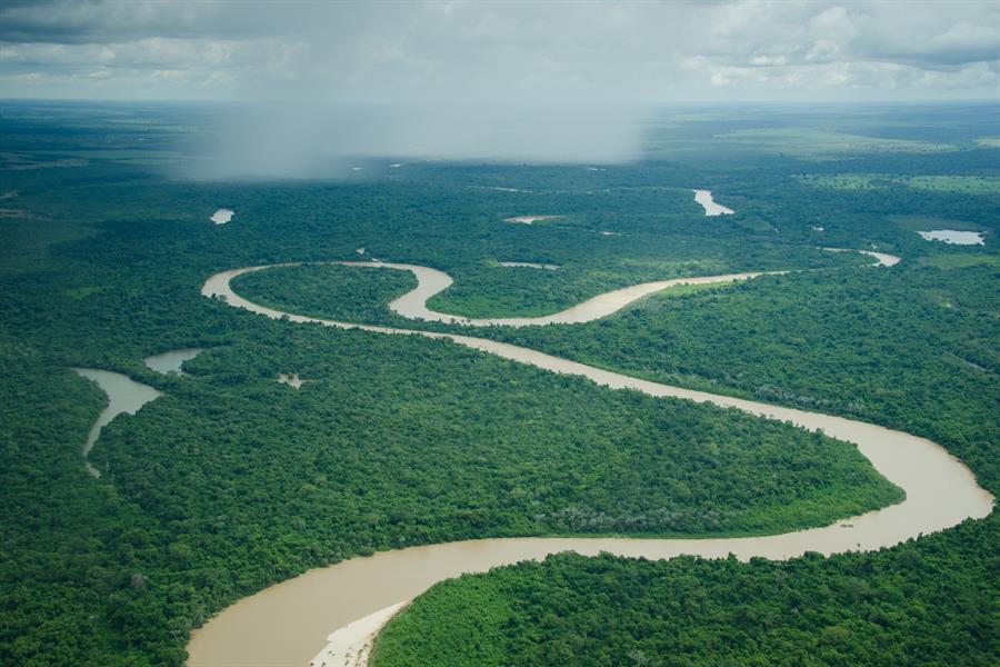 Aerial view of Xingu National Park